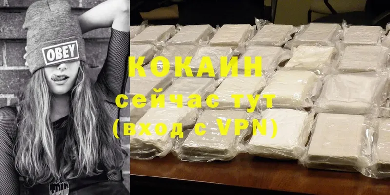 Cocaine FishScale  где продают наркотики  Бакал 