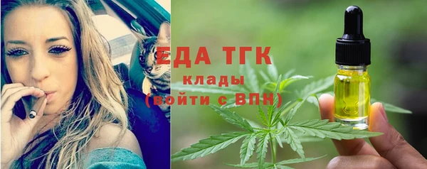 индика Зеленодольск