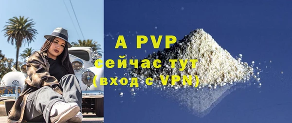 твердый Осташков