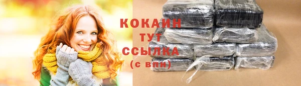 твердый Осташков