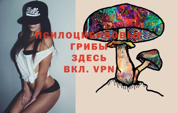 твердый Осташков