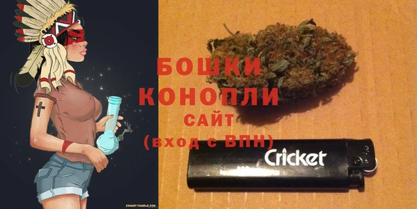 твердый Осташков